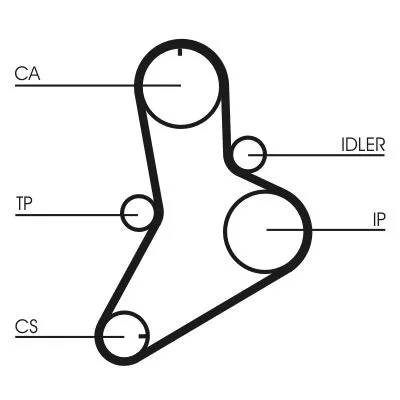 CONTINENTAL CTAM Timing Belt (CT989)