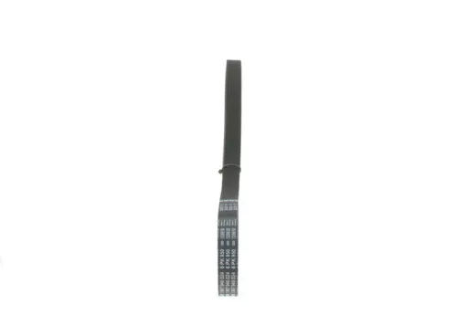 BOSCH V-Ribbed Belt (1987946024)