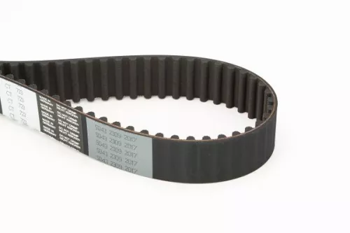 Timing Belt