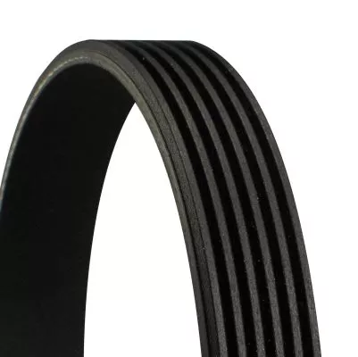 CONTINENTAL CTAM V-Ribbed Belt (6PK962)