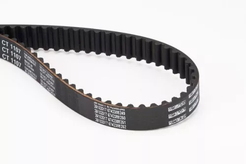 Timing Belt