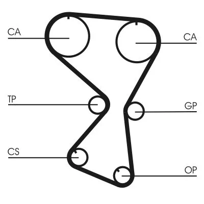 Timing Belt