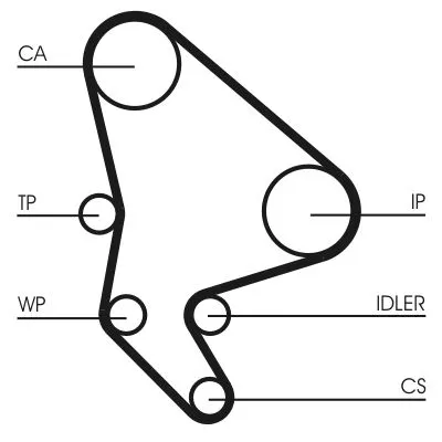 CONTINENTAL CTAM Timing Belt (CT1100)