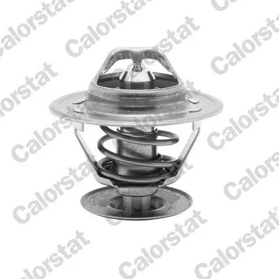 CALORSTAT by Vernet Thermostat, coolant (4561.92/J)