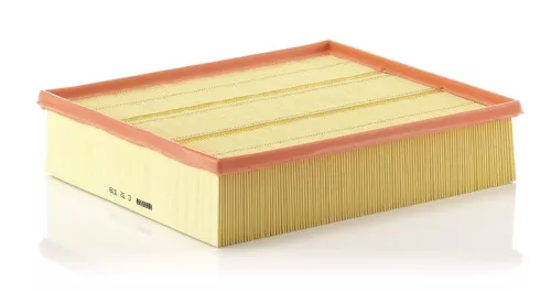MANN-FILTER Air Filter (C32338)