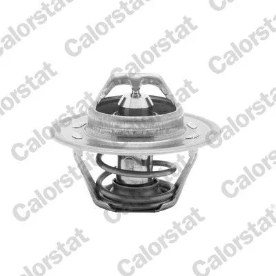 CALORSTAT by Vernet Thermostat, coolant (1290.92/J)