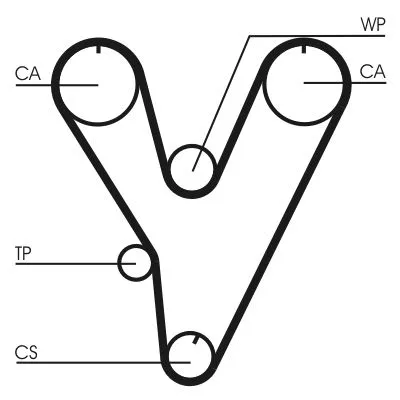Timing Belt