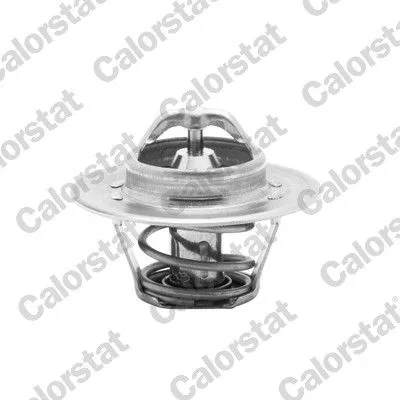 CALORSTAT by Vernet Thermostat, coolant (5962.82/J)