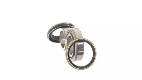 SKF Wheel Bearing Kit (VKBA3285)