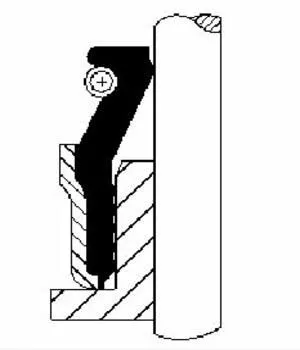 CORTECO Seal Ring, valve stem (12015882)