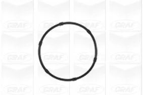 GRAF Water Pump, engine cooling (PA986)