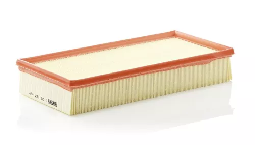 MANN-FILTER Air Filter (C35157)