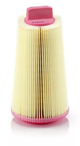 MANN-FILTER Air Filter (C14114)