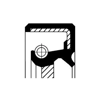 CORTECO Shaft Seal, crankshaft (12011842)