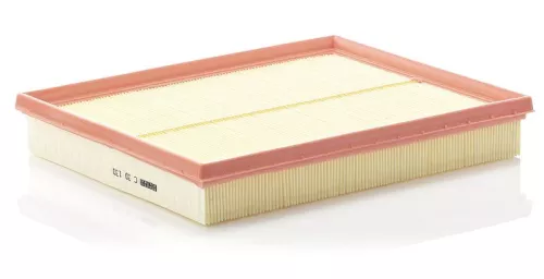 MANN-FILTER Air Filter (C30130)