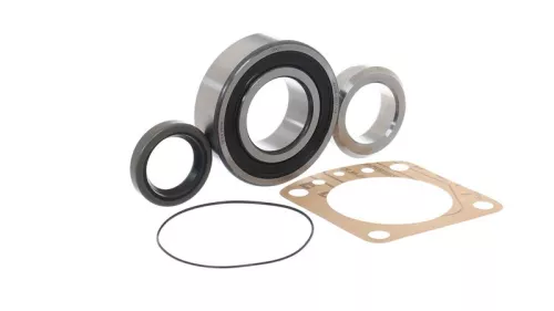 SKF Wheel Bearing Kit (VKBA1325)