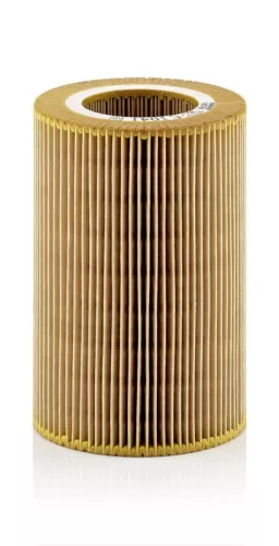 MANN-FILTER Air Filter (C1041)