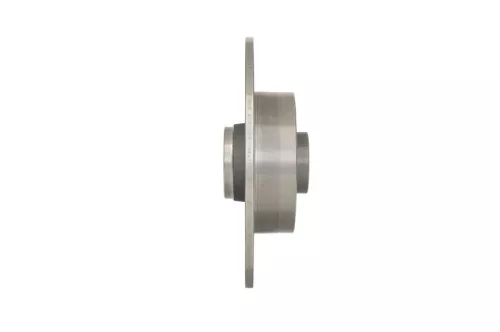 BOSCH Brake Disc (0986479007)