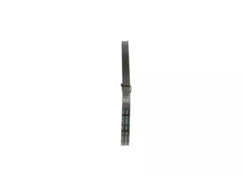 BOSCH V-Belt (1987948145)