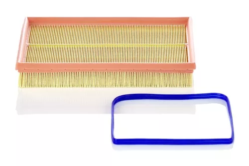 MANN-FILTER Air Filter (C2998/5X)