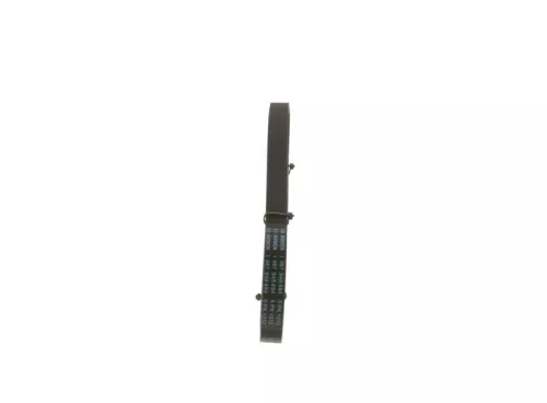 BOSCH V-Ribbed Belt (1987948494)