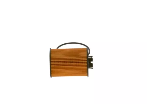 BOSCH Oil Filter (F026407015)