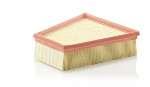 MANN-FILTER Air Filter (C2295/2)