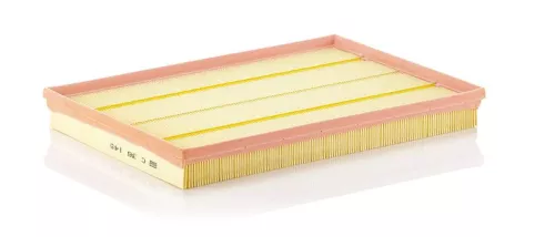 MANN-FILTER Air Filter (C36145)