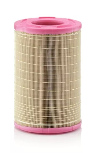 MANN-FILTER Air Filter (C25730/1)
