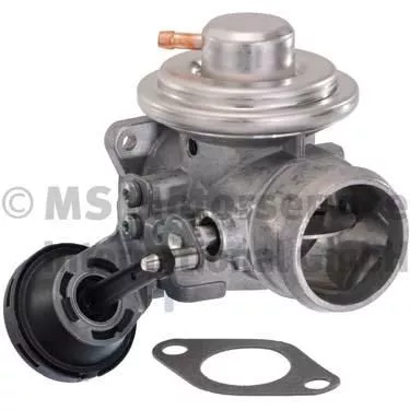 PIERBURG EGR Valve (7.24809.17.0)