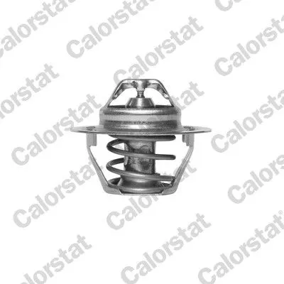 CALORSTAT by Vernet Thermostat, coolant (6310.88/J)