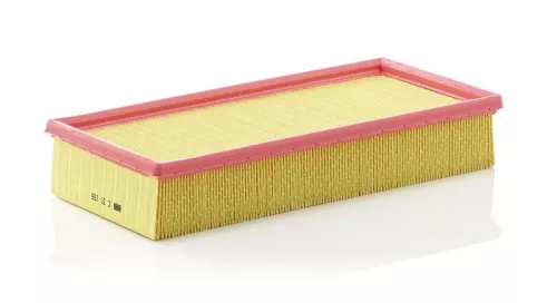 MANN-FILTER Air Filter (C33156)