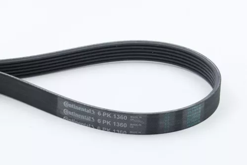 CONTINENTAL CTAM V-ribbed Belt (6PK1360)