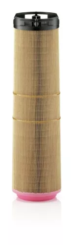 MANN-FILTER Air Filter (C12178/1)