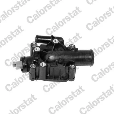 CALORSTAT by Vernet Thermostat, coolant (6972.91J)
