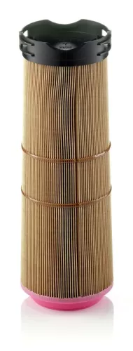 MANN-FILTER Air Filter (C12133/1)