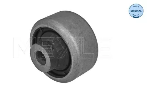 Mounting, control/trailing arm