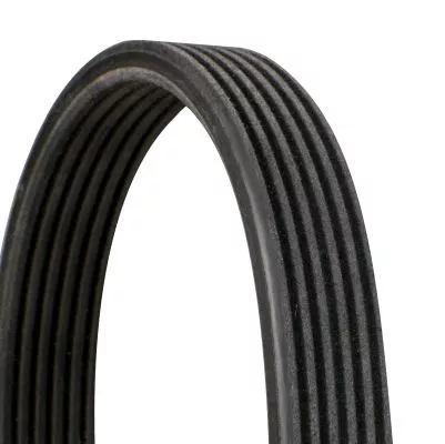 V-Ribbed Belt