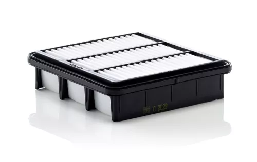 MANN-FILTER Air Filter (C2029)