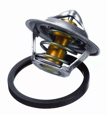 BorgWarner (Wahler) Thermostat, coolant (3017.92D2)