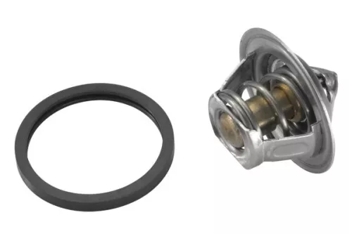 BorgWarner (Wahler) Thermostat, coolant (3017.92D2)