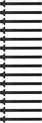 VICTOR REINZ Cylinder Head Bolt Set (14-32004-01)