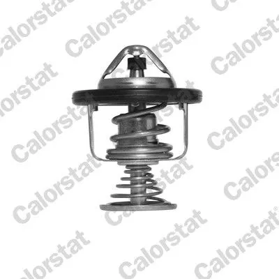 CALORSTAT by Vernet Thermostat, coolant (6876.80J)