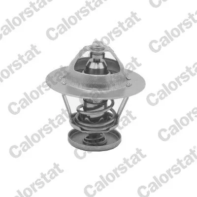 CALORSTAT by Vernet Thermostat, coolant (5077.88/J)
