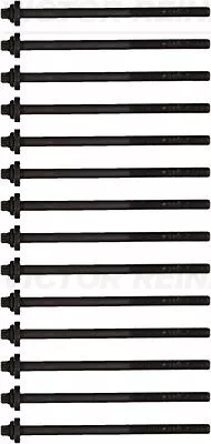 VICTOR REINZ Cylinder Head Bolt Set (14-32311-01)