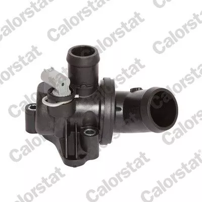 CALORSTAT by Vernet Thermostat, coolant (6991.87J)