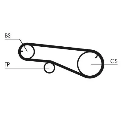 CONTINENTAL CTAM Timing Belt Kit (CT1109K2)