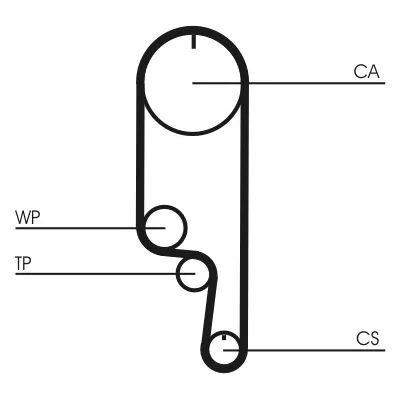 CONTINENTAL CTAM Timing Belt (CT1008)