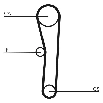 CONTINENTAL CTAM Timing Belt (CT1008)