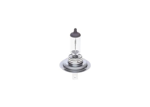 BOSCH Bulb, headlight (1987302079)